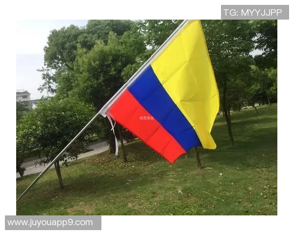 2018世界杯日本队对阵哥伦比亚队的比赛数据分析与回顾